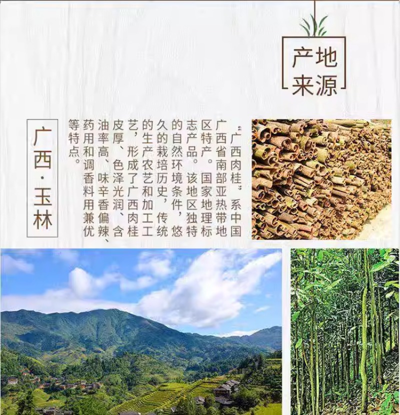 桂皮广西肉桂皮家用商用香料特调味料级卤料