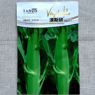 鸡腿芥兰种子主苔粗大油绿耐热耐寒生长速度快