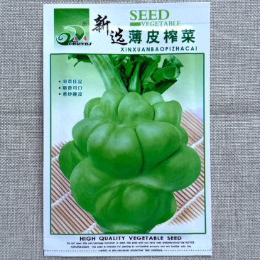 新选薄皮榨菜种子耐寒抽苔迟脆香可口煮炒腌凉