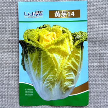 黄芽14白菜种子叶球合抱紧实长筒形口感脆嫩