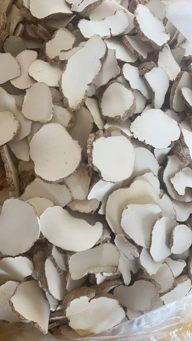 精品中药材虎奶菌大量现货