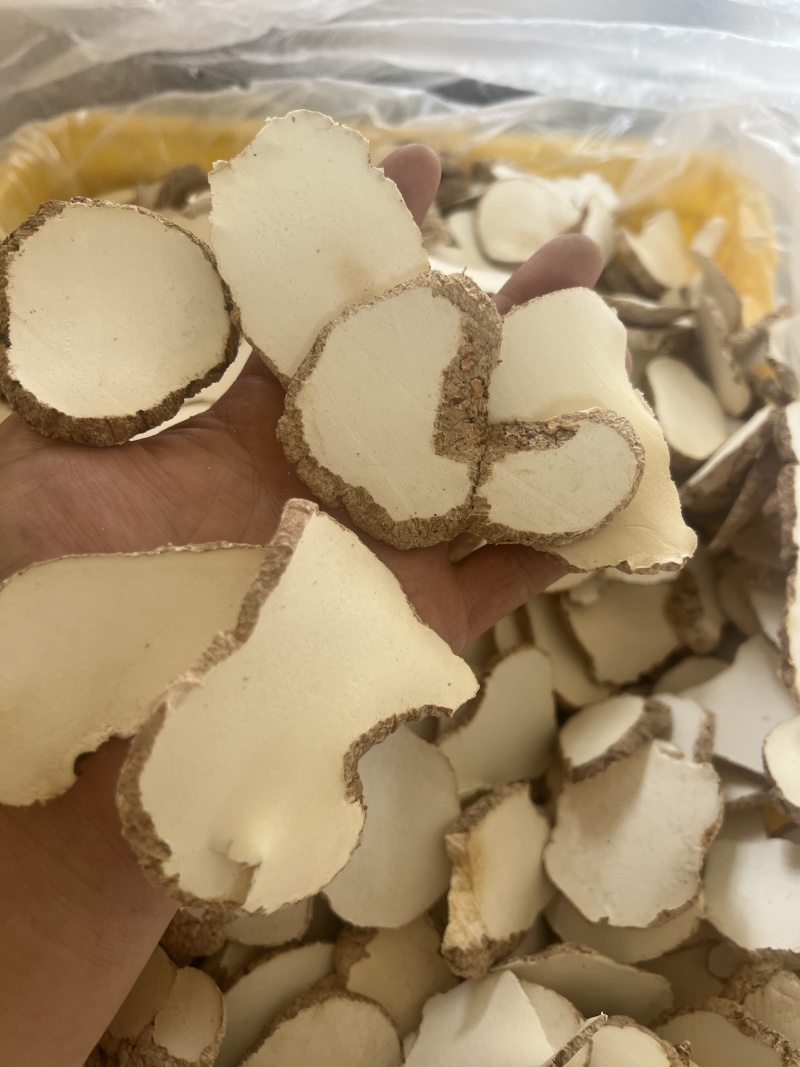 精品中药材虎奶菌大量现货