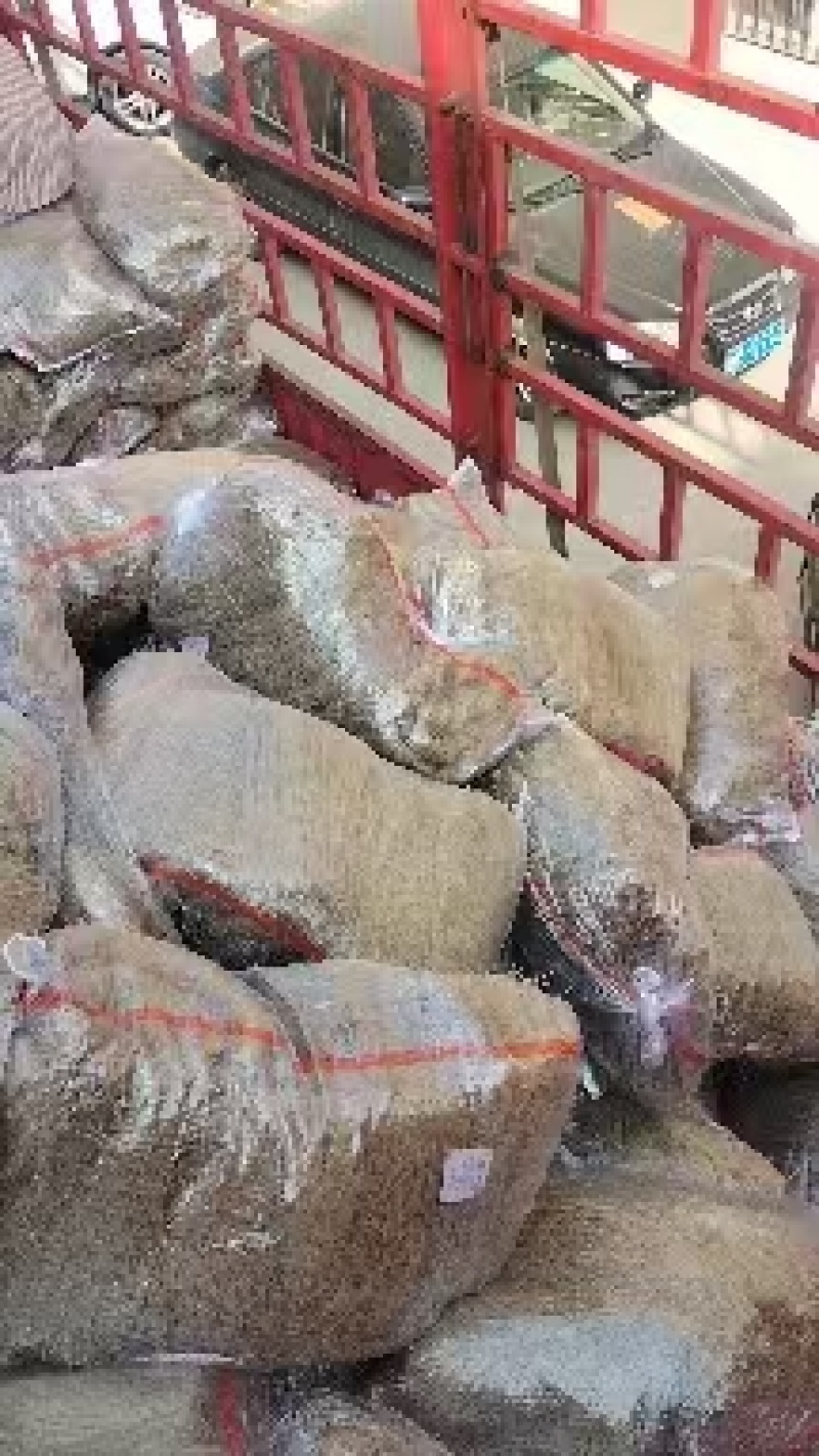 红薯粉条厂家直发品质保障口感好量大优惠对接全国