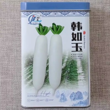 韩如玉白萝卜种子皮色白耐抽苔岐根裂根少