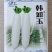 韩如玉白萝卜种子皮色白耐抽苔岐根裂根少
