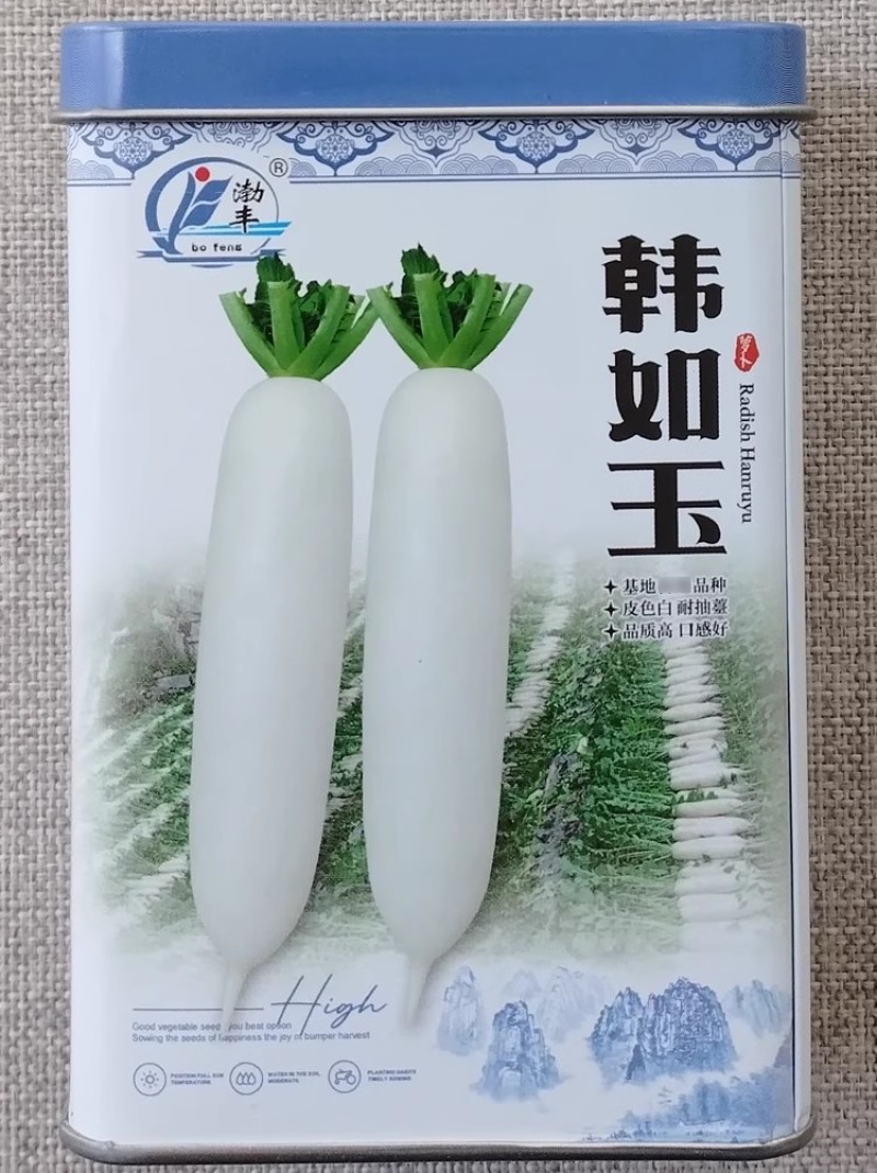 韩如玉白萝卜种子皮色白耐抽苔岐根裂根少