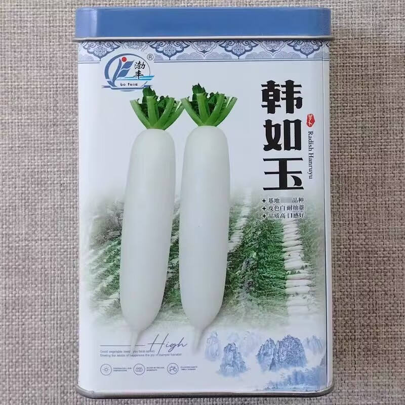 韩如玉白萝卜种子皮色白耐抽苔岐根裂根少
