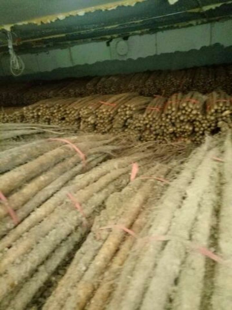 精品广西铁棍山药产地货源充足量大价优欢迎电话联系