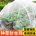 防虫网加密网孔有效防虫透光性好抗老化支持多规格定制