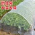 防虫网加密网孔有效防虫透光性好抗老化支持多规格定制