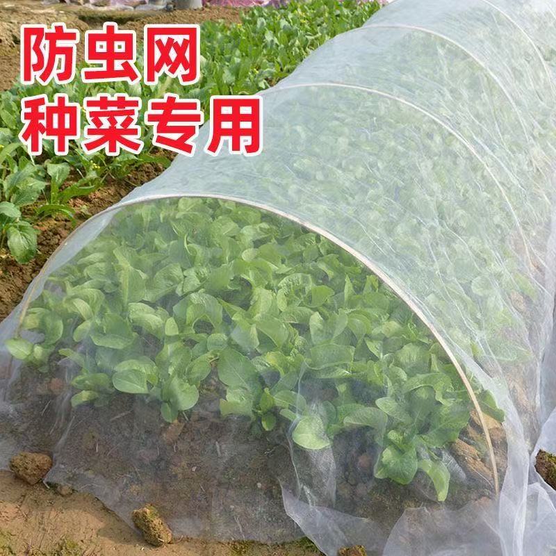 防虫网加密网孔有效防虫透光性好抗老化支持多规格定制
