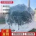 防虫网加密网孔有效防虫透光性好抗老化支持多规格定制