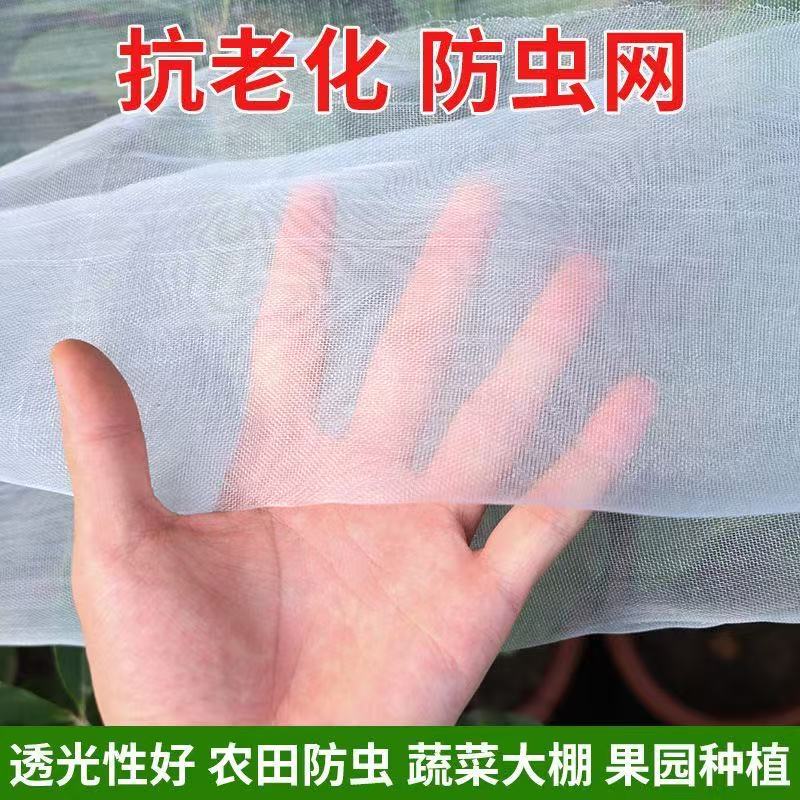 防虫网加密网孔有效防虫透光性好抗老化支持多规格定制