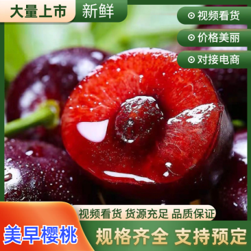 美早樱桃产区直发专业对接团购抖音快手拼多多一件代发