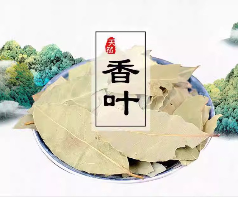 香叶香料大全香叶粉月桂叶正品川菜调料烧菜炖肉