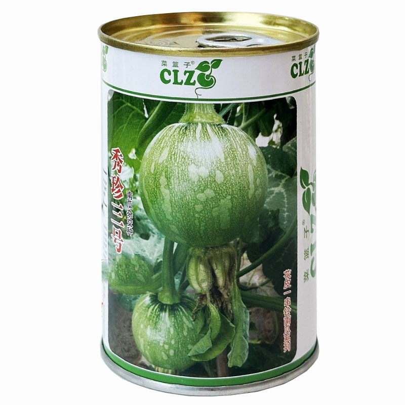 秀珍三号一串铃南瓜种子早熟菜用小瓜嫩瓜基地品种