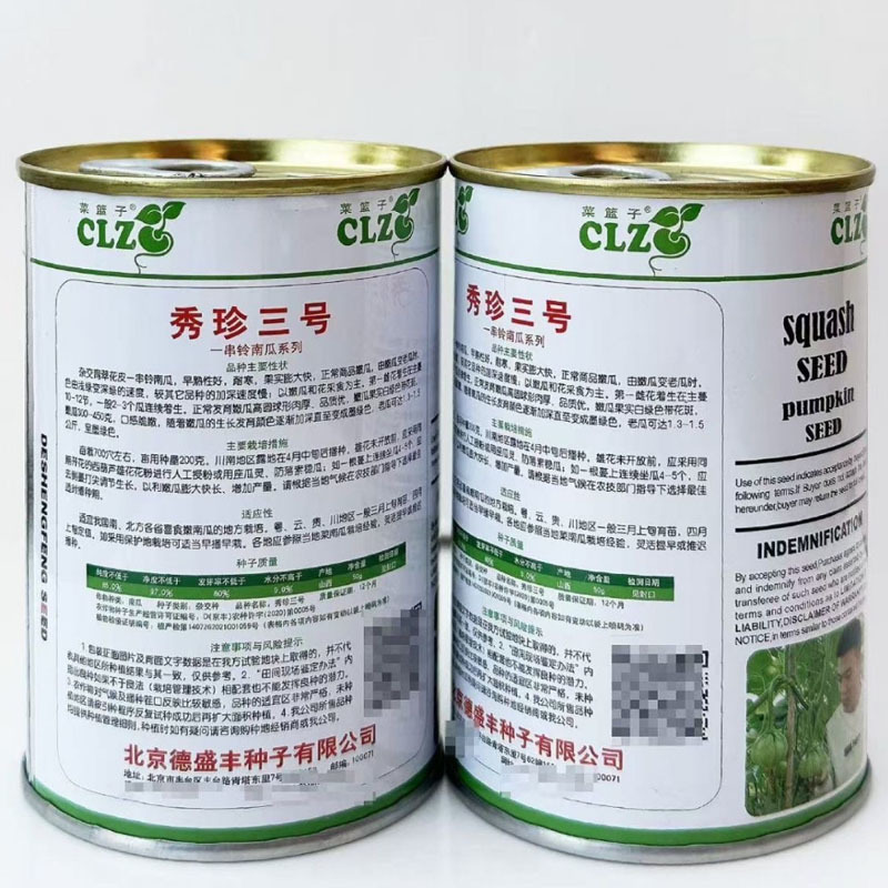 秀珍三号一串铃南瓜种子早熟菜用小瓜嫩瓜基地品种