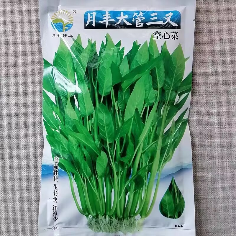 月丰大管三叉空心菜种子茎杆中空粗大露地水田种植