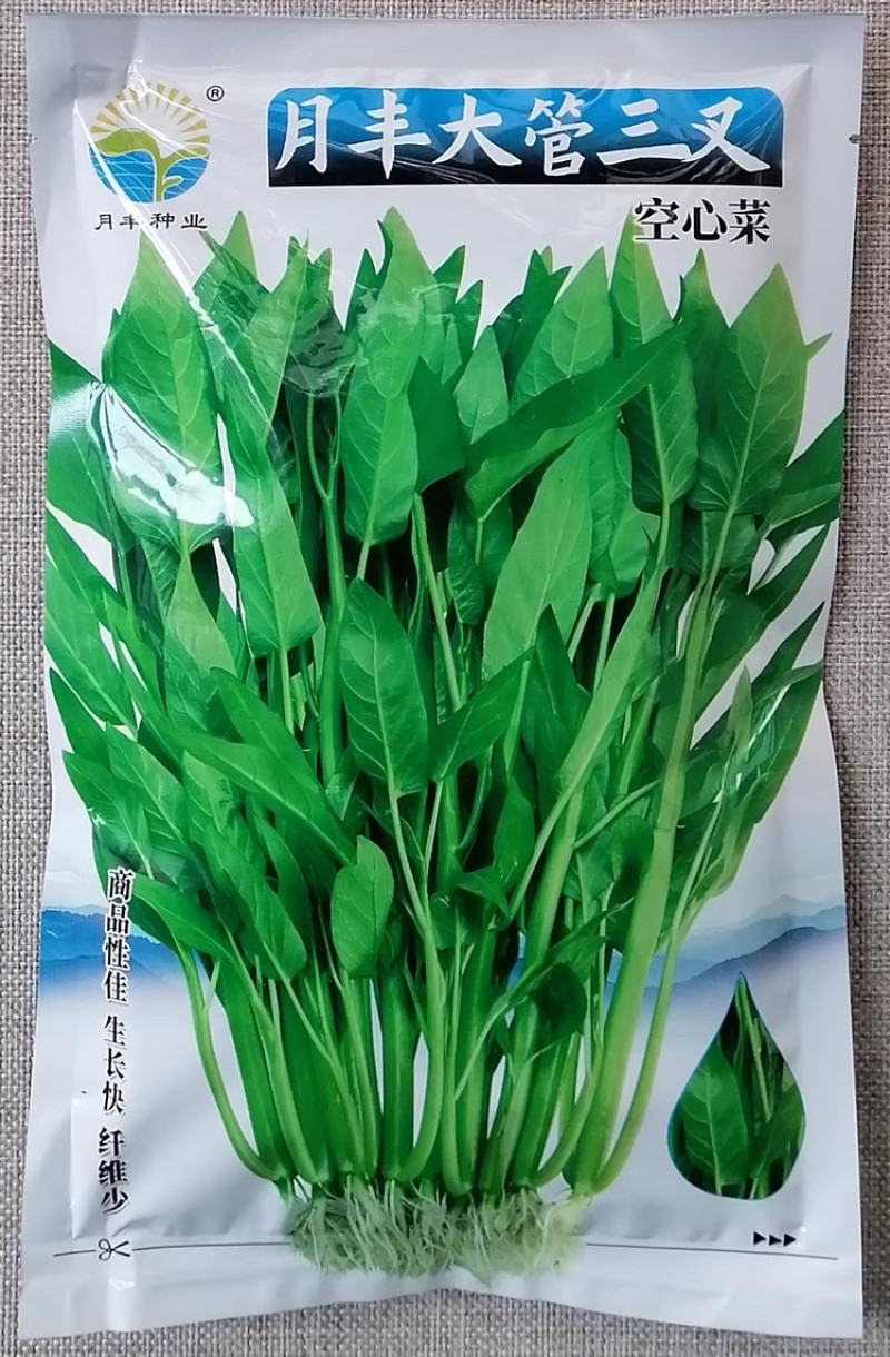月丰大管三叉空心菜种子茎杆中空粗大露地水田种植