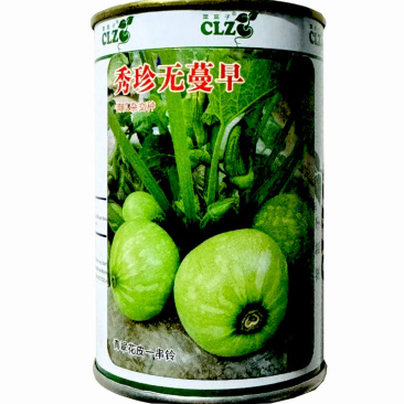 秀珍无蔓早南瓜种子早熟一串玲短蔓嫩瓜籽耐寒大田用种