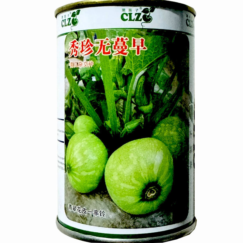 秀珍无蔓早南瓜种子早熟一串玲短蔓嫩瓜籽耐寒大田用种