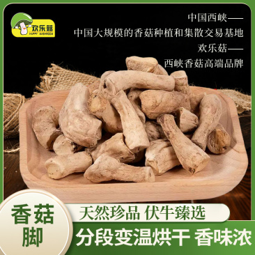 5种香菇脚香菇腿香菇根香菇脚干货西峡干香菇脚批发
