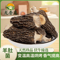 羊肚菌、羊肚菌干货、羊肚菌产地直销、羊肚菌批发商用