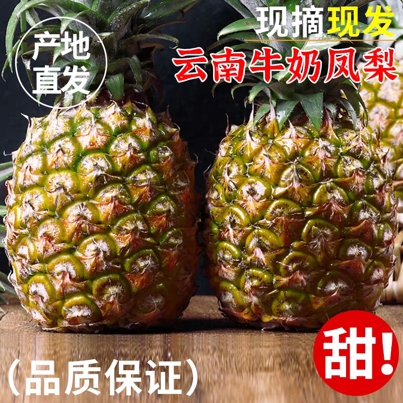 【一件代发】云南凤梨支持各大电商平台代发