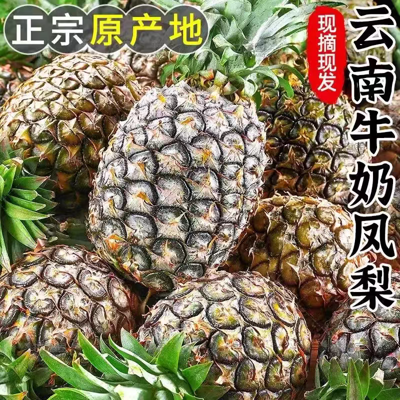【一件代发】云南凤梨支持各大电商平台代发