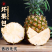 【一件代发】云南凤梨支持各大电商平台代发