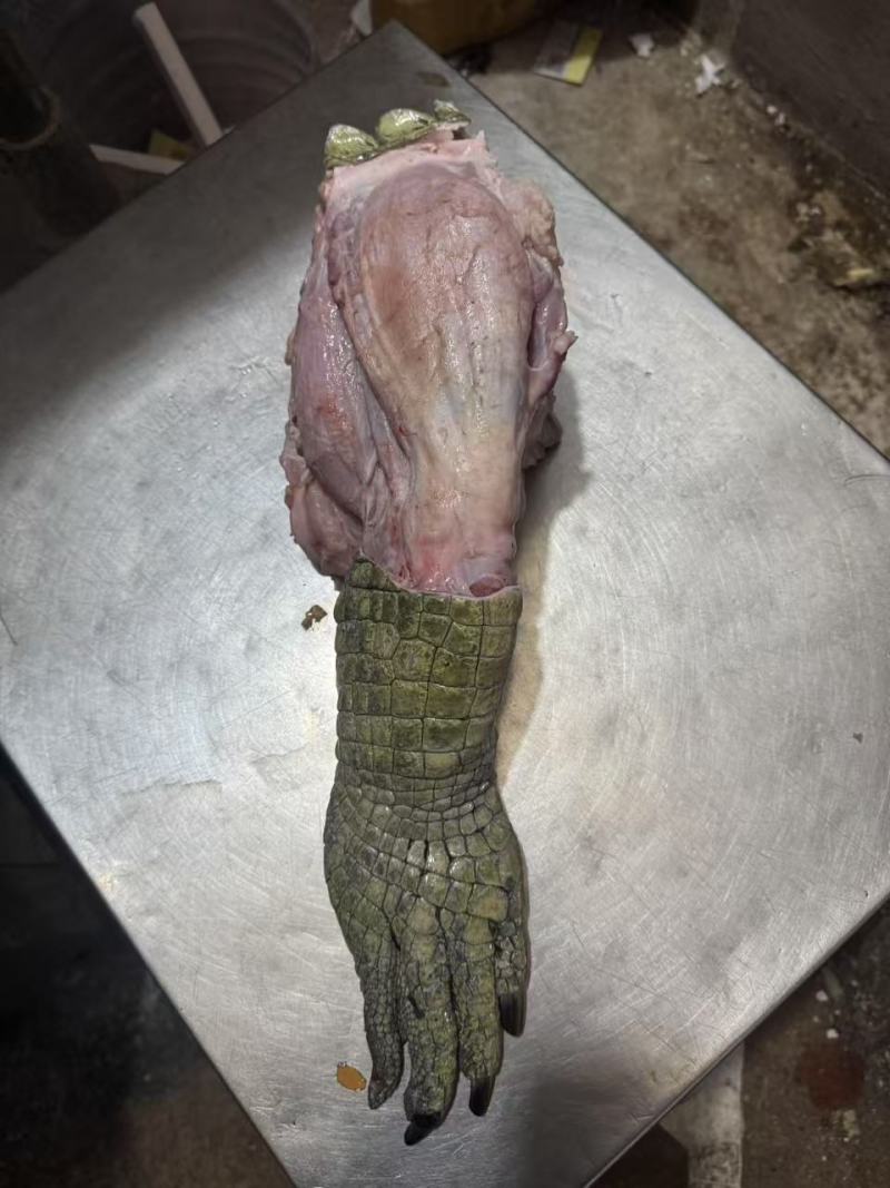 源头工厂鳄鱼掌真空包装支持拿样对接各大连锁餐饮市场批发