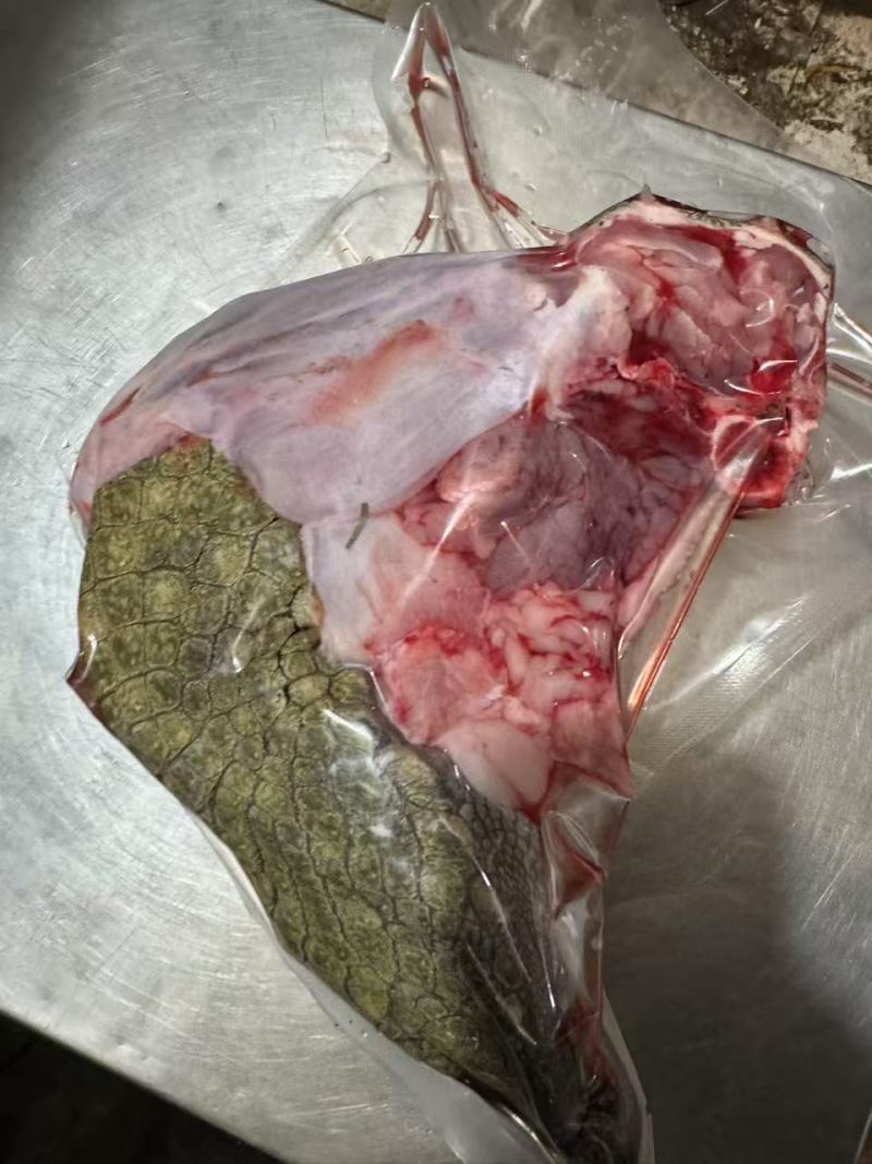 源头工厂鳄鱼掌真空包装支持拿样对接各大连锁餐饮市场批发
