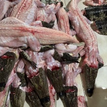 鳄鱼肉无皮肉一手货源对接餐饮批发稳定供应量大从优
