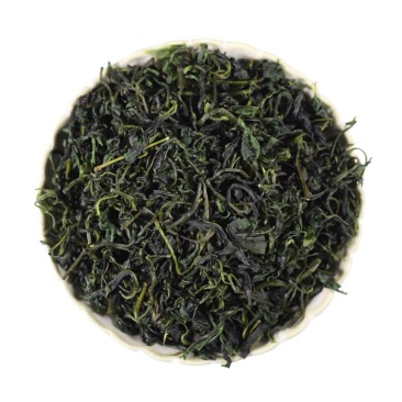 批发苦丁茶小叶苦丁嫩芽一件代发新货