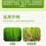 240g/L噻呋酰胺纹枯病白绢病稻瘟病大斑病等