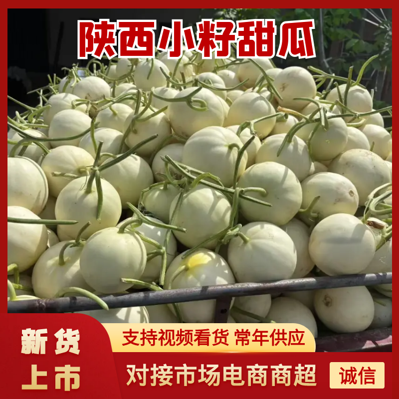 陕西阎良甜瓜/一件代发/对接电商/微商/包邮包售后