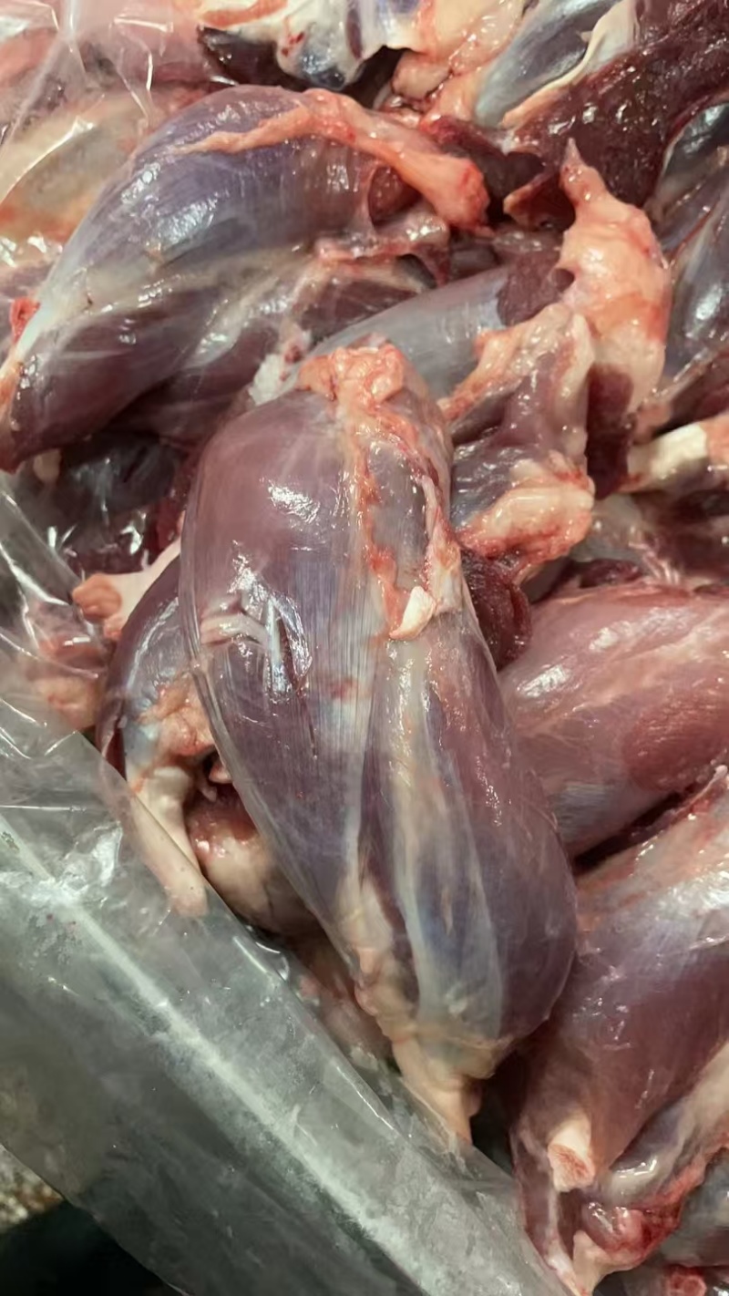 新鲜.精品纯干无水腱子肉牛肉雪花肉牛腱子前后腿精瘦肉