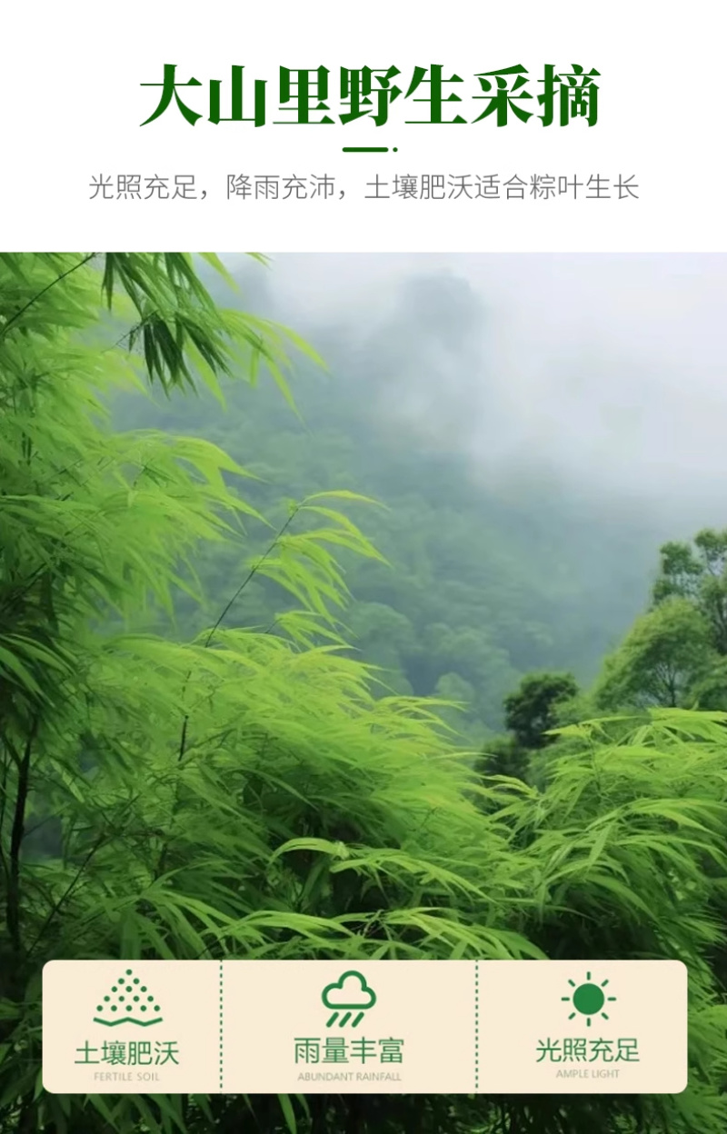 粽子叶，品质保证，价格优惠，产地直发，整箱批发，包邮到家