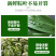 粽子叶，品质保证，价格优惠，产地直发，整箱批发，包邮到家