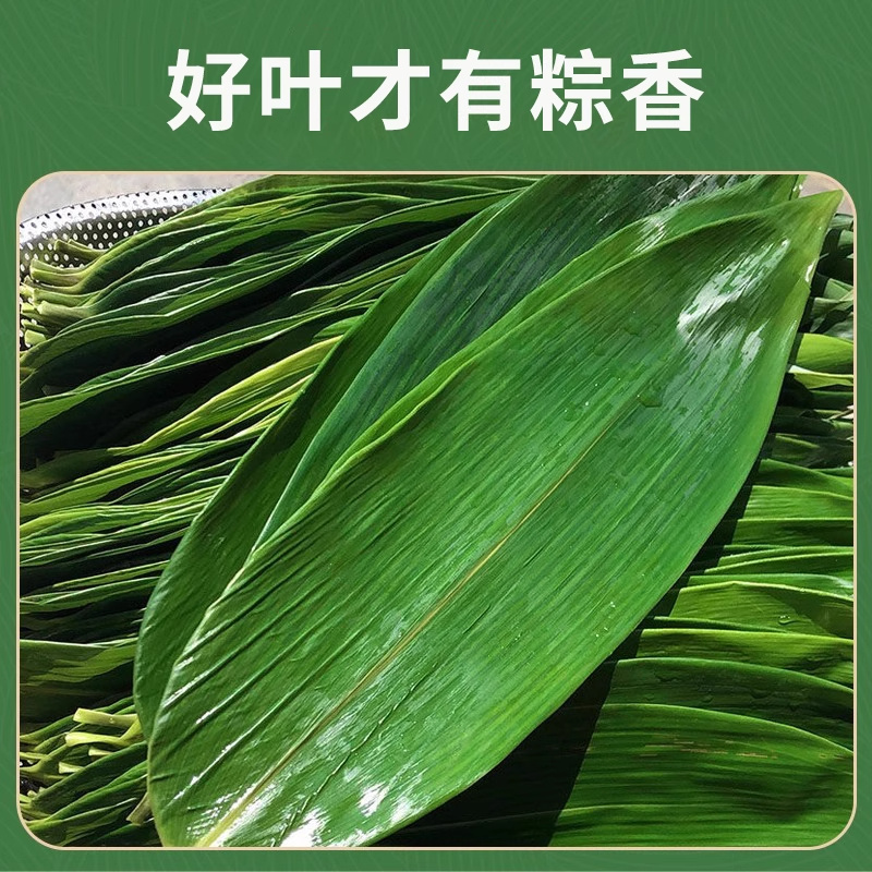 粽子叶，品质保证，价格优惠，产地直发，整箱批发，包邮到家