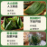粽子叶，品质保证，价格优惠，产地直发，整箱批发，包邮到家