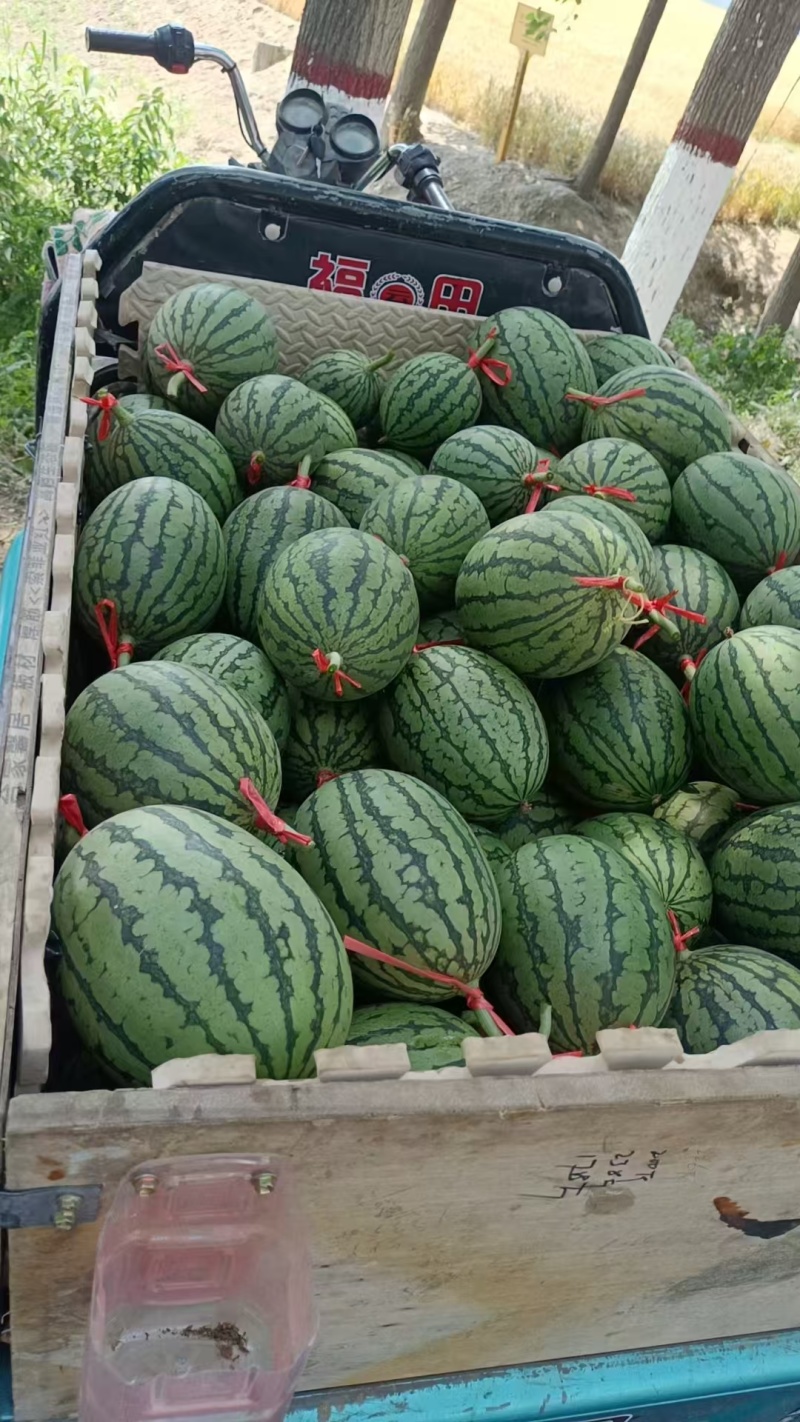 L600小吊瓜对接批发档口市场量大价低欢迎联系