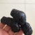 黄精制黄精黑黄精炙九蒸九晒黄精黄精制黄精黑黄精炙黄精批发