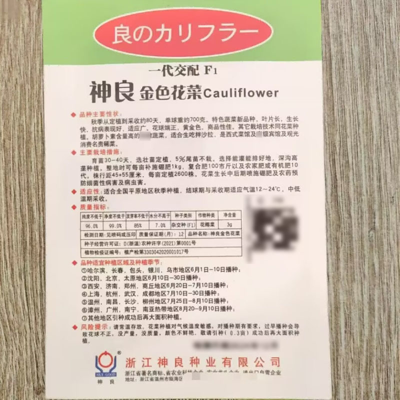 神良金色花菜种子黄色花椰菜种子抗病单球约700克