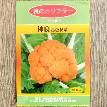 神良金色花菜种子黄色花椰菜种子抗病单球约700克