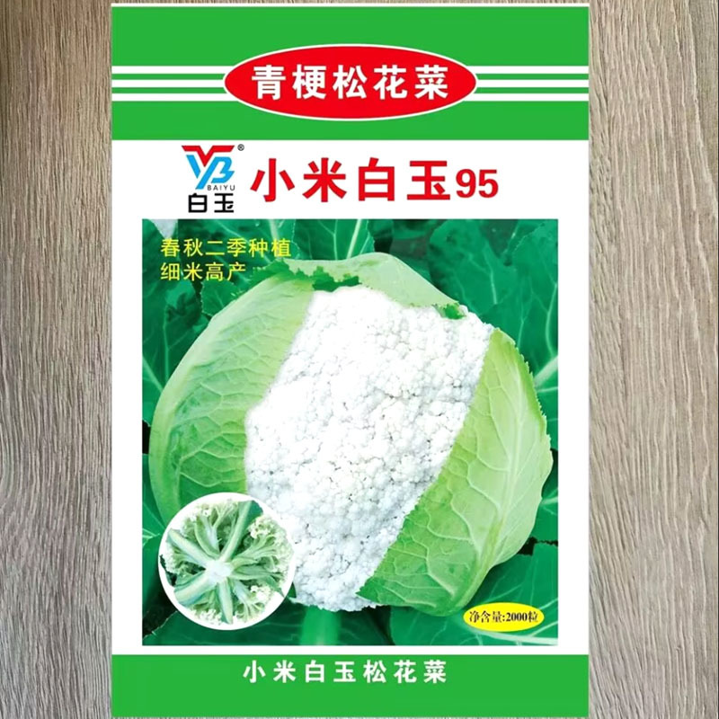 小米白玉95青梗松花菜种子耐寒抗病花层厚直立半自包