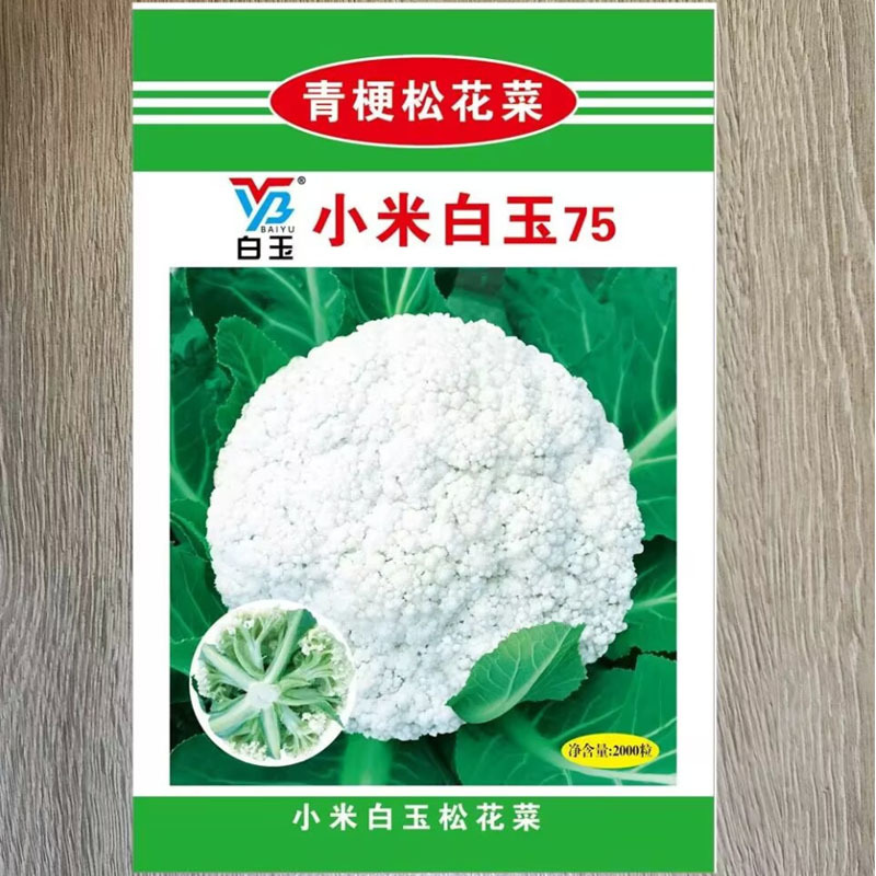 小米白玉75青梗松花菜种子青梗细米花型花球雪白松大