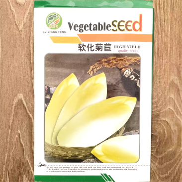 软化菊苣种子金玉兰菜种子生食口感清爽脆嫩