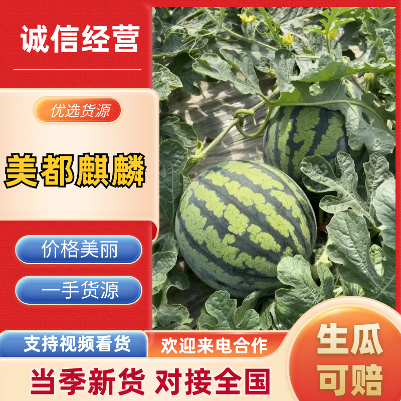 通许美都麒麟上市原产地实发可支持视频看货