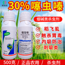30%噻虫嗪稻飞虱蚜虫白粉虱刺吸害虫杀虫剂
